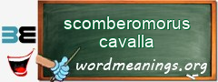 WordMeaning blackboard for scomberomorus cavalla